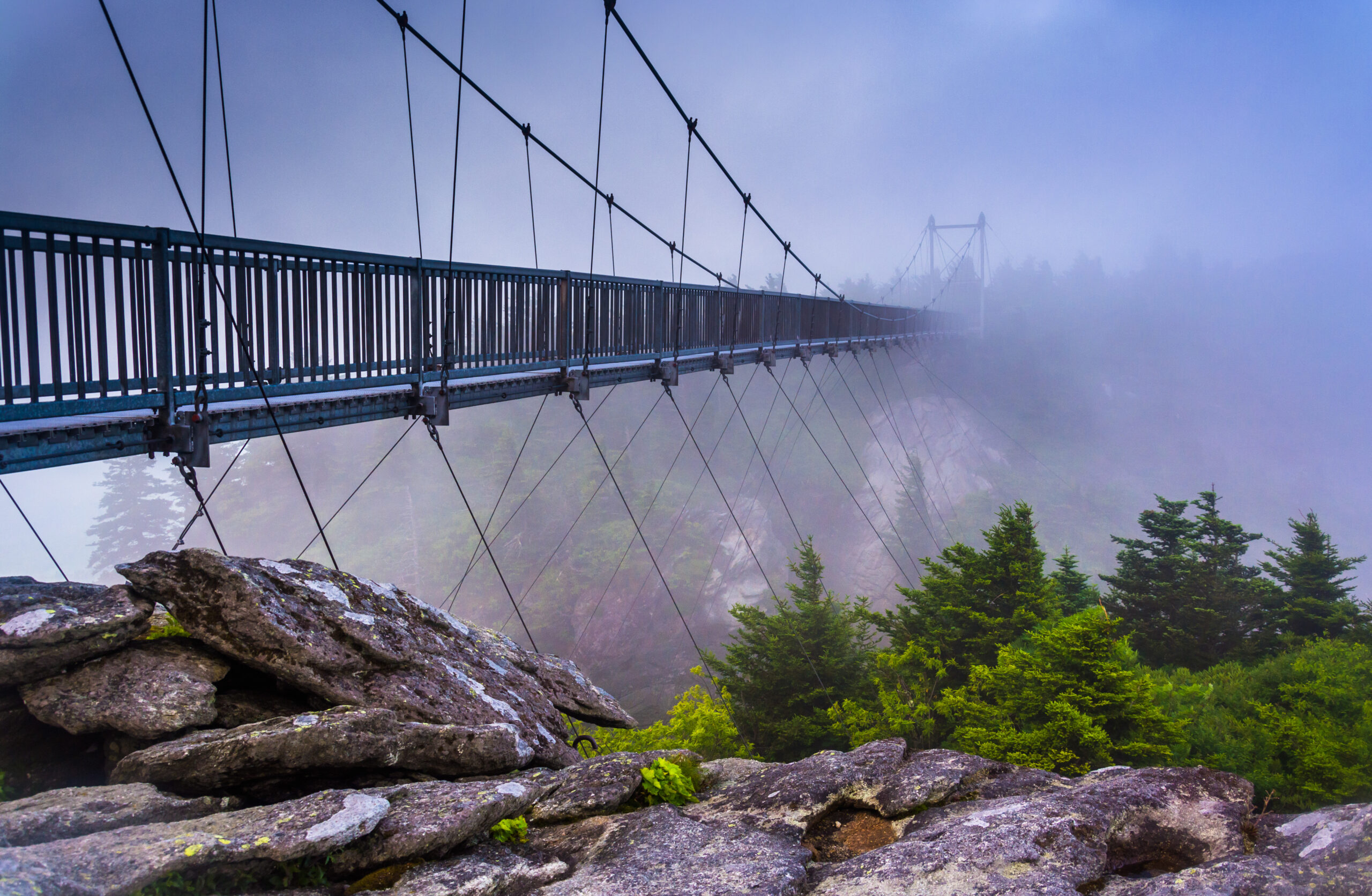 AdobeStock_74901460-1-scaled.jpeg