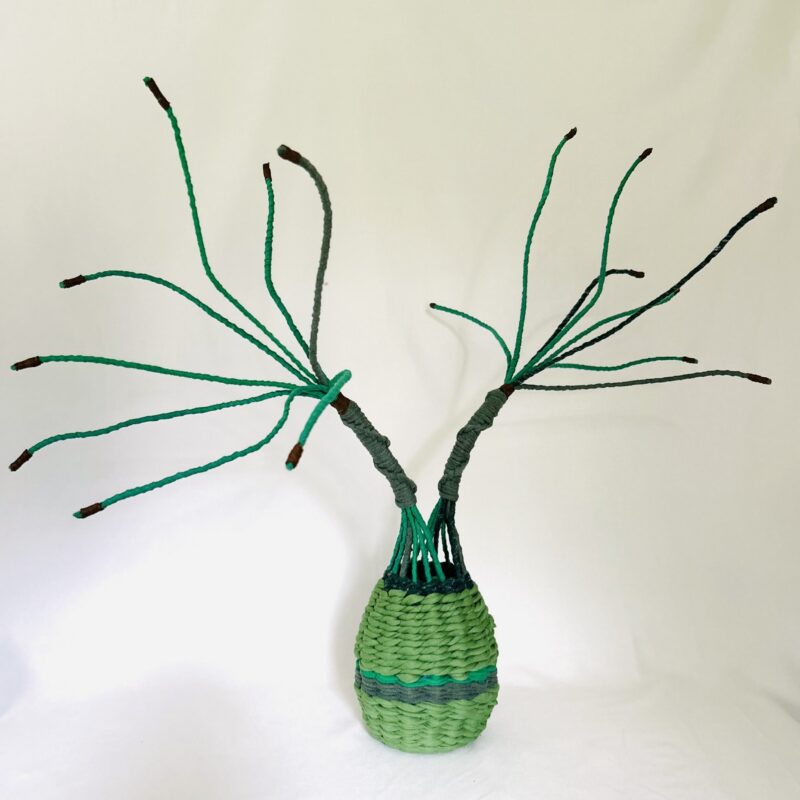 Trees