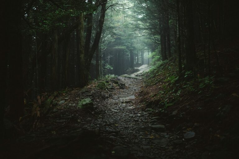 Bigfoot Hunters Found Something in McDowell County. Then a Man in a Fur Suit Came Forward.