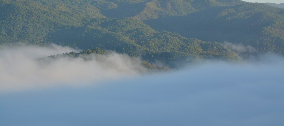 Forest-covered Appalachian ridges above morning clouds, illustrative photograph for a North Carolina Bigfoot report guide. Photo by Amanda Selby/Unsplash.