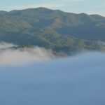 Forest-covered Appalachian ridges above morning clouds, illustrative photograph for a North Carolina Bigfoot report guide. Photo by Amanda Selby/Unsplash.