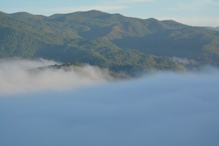 The Other Bigfoot Reports: A County-by-County Guide to North Carolina’s Strangest Sightings