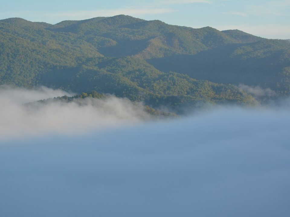Forest-covered Appalachian ridges above morning clouds, illustrative photograph for a North Carolina Bigfoot report guide. Photo by Amanda Selby/Unsplash.