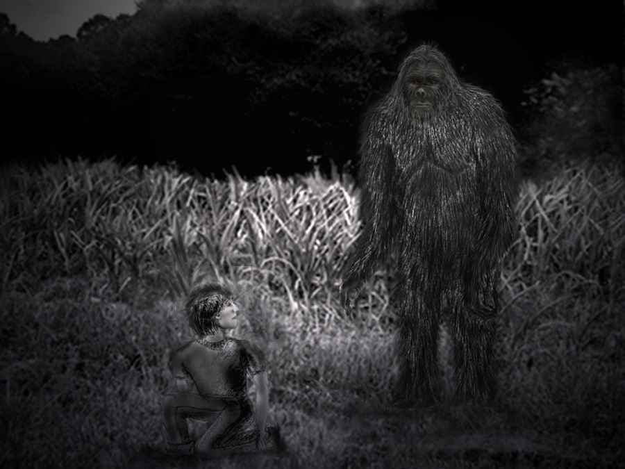 Witness-assisted grayscale illustration by Sybilla Irwin (2010) depicting a young man crouching beside corn and a tall, hair-covered figure in a 1978 Wilkes County report; illustration, not eyewitness photo.
