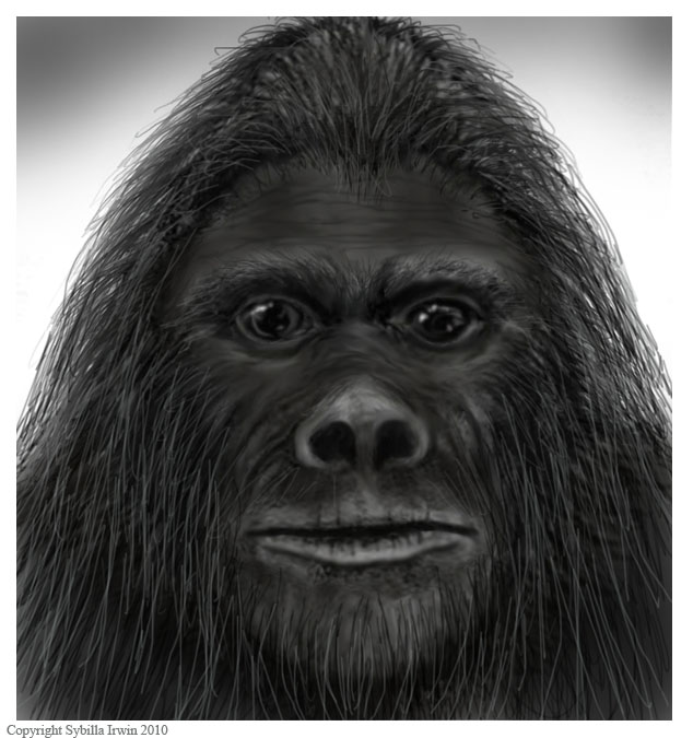 Witness-assisted grayscale facial drawing by Sybilla Irwin (2010) for Ricky Lunsford's reported 1978 Wilkes County encounter, an illustration and not a photograph.