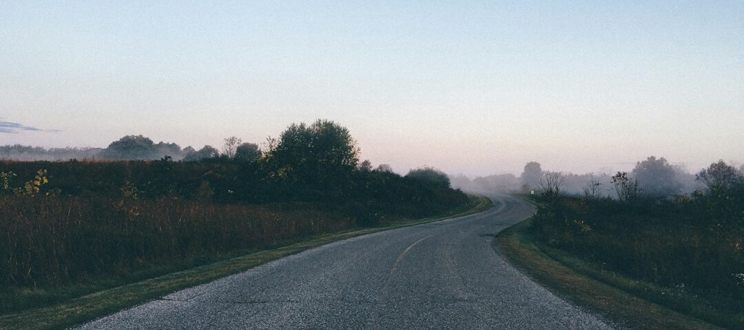 A wooded rural road; atmospheric illustration only, not Golden Valley Church Road or a photograph of the alleged creature