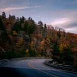 Two-lane paved country roadway through woods under an overcast sky; atmospheric illustration, not Highway 64 or the alleged Bigfoot crossing