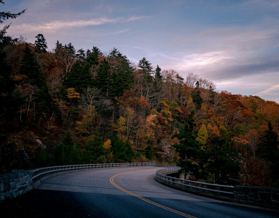 Two-lane paved country roadway through woods under an overcast sky; atmospheric illustration, not Highway 64 or the alleged Bigfoot crossing