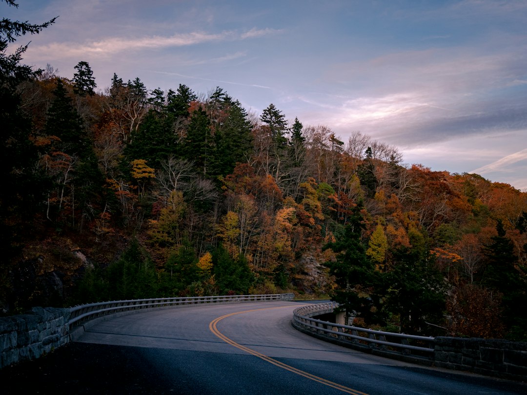 Editorial illustration for The Highway 64 sighting; see article for source and context